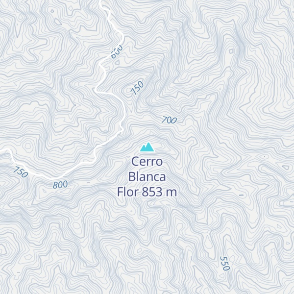 Map of Cerro Blanca Flor