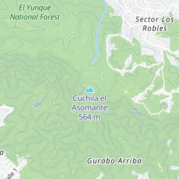 Map of Cuchila el Asomante