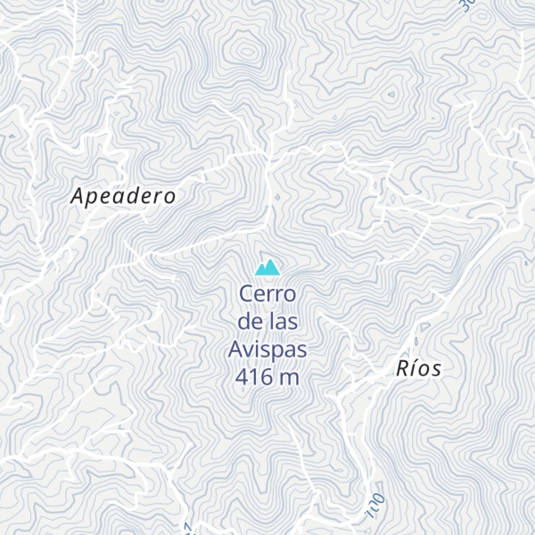 Map of Cerro de las Avispas
