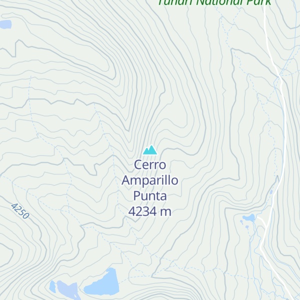 Map of Cerro Amparillo Punta