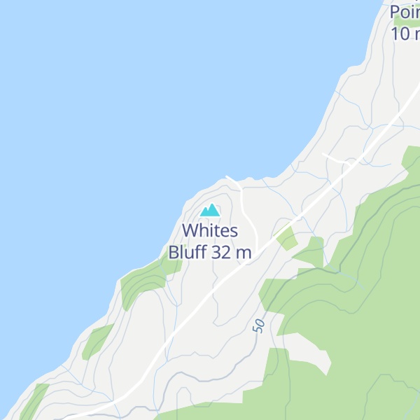 Map of Whites Bluff