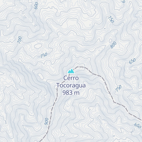 Map of Cerro Tocoragua