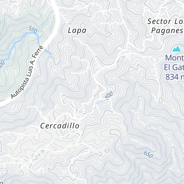 Map of Cerro Avispa