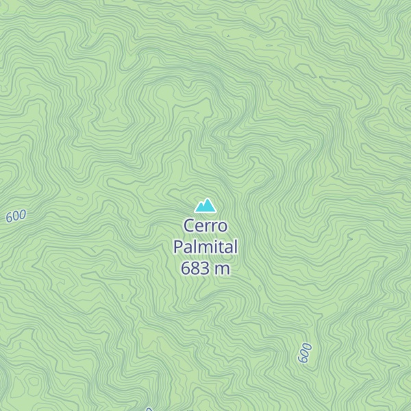 Map of Cerro Palmital