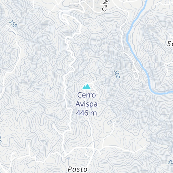 Map of Cerro Avispa