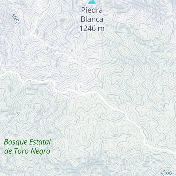 Map of Monte Jayuya