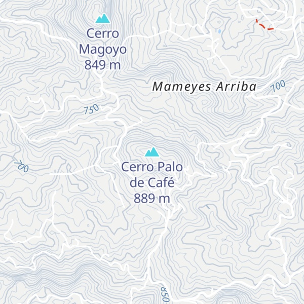Map of Cerro Palo de Café