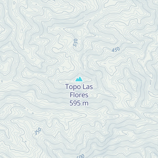 Map of Topo Las Flores