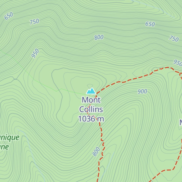 Map of Mont Collins