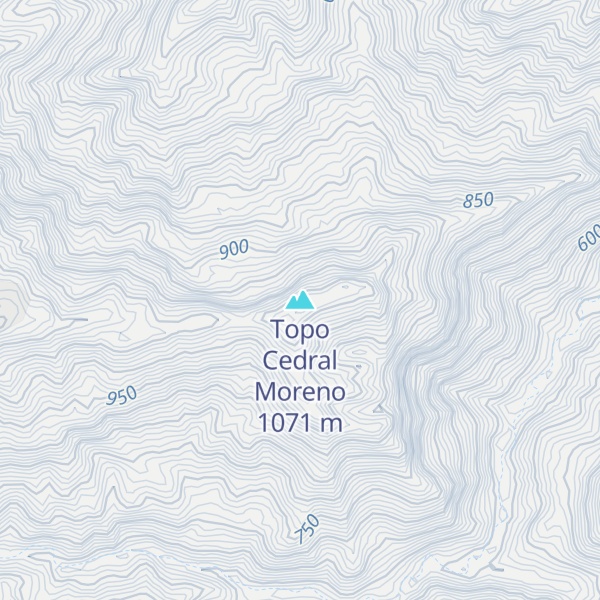 Map of Topo Cedral Moreno