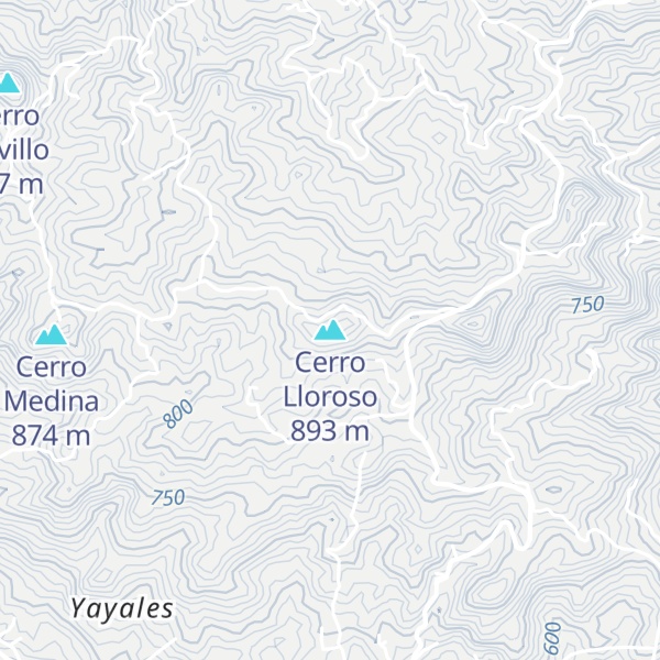 Map of Cerro Lloroso