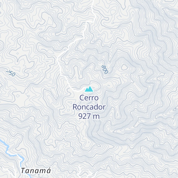 Map of Cerro Roncador