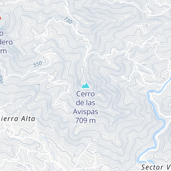 Map of Cerro de las Avispas