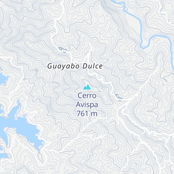 Map of Cerro Avispa