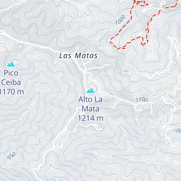 Map of Alto La Mata