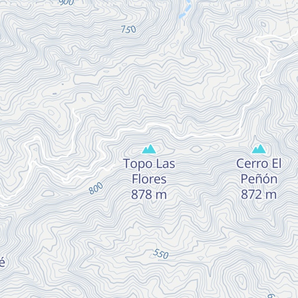 Map of Topo Las Flores