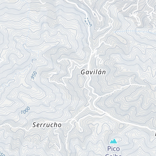 Map of Alto Pariaguán