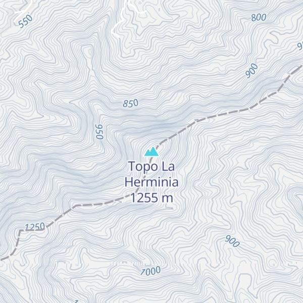 Map of Topo La Herminia