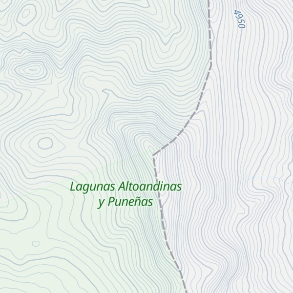 Map of Cerro Vicuñorco