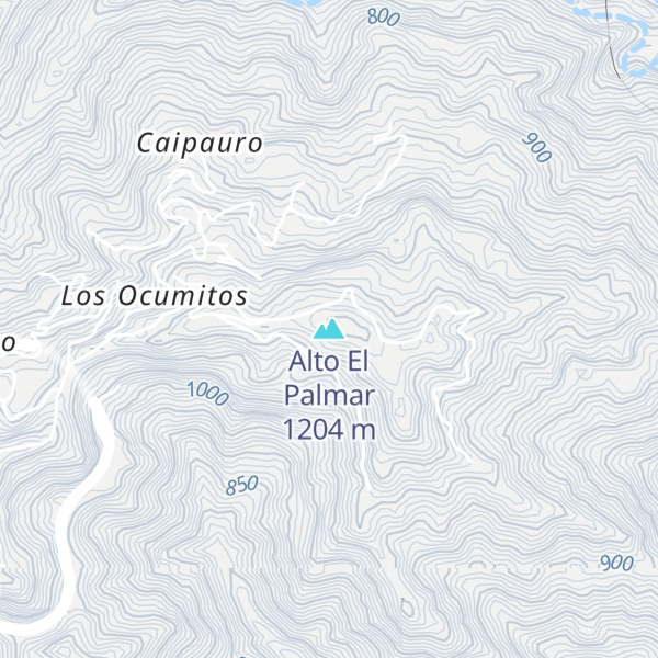 Map of Alto El Palmar