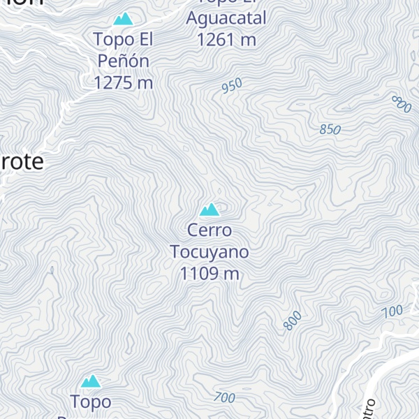 Map of Cerro Tocuyano