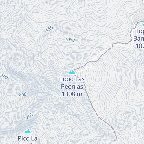 Map of Topo Las Peonías