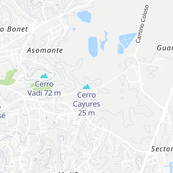 Map of Cerro Cayures