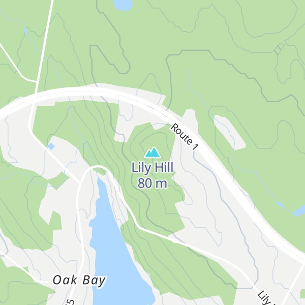Map of Lily Hill