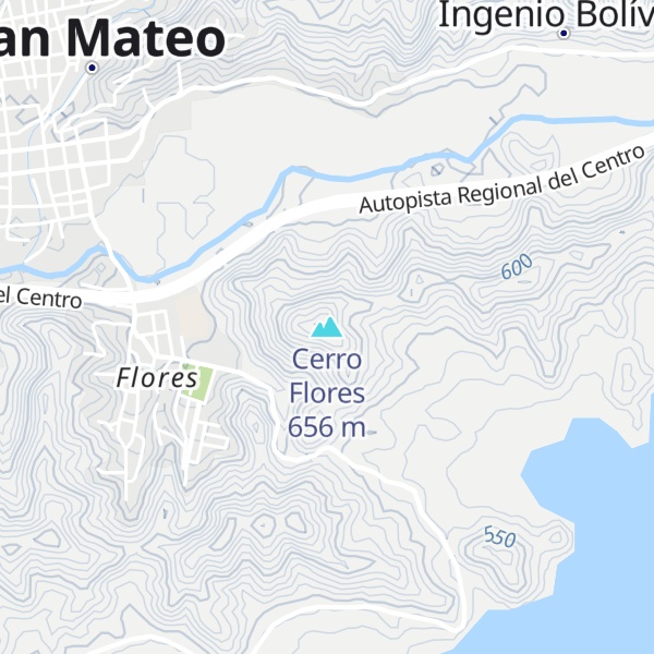 Map of Cerro Flores