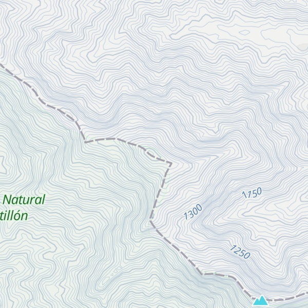 Map of Topo Palo Negro