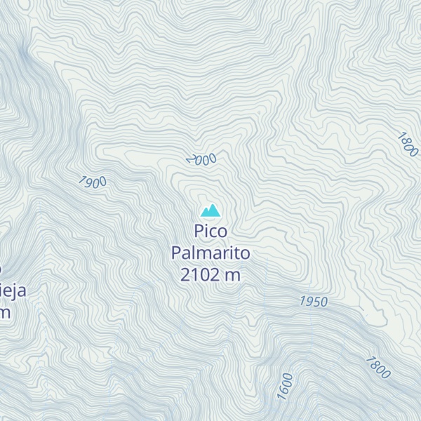 Map of Pico Palmarito