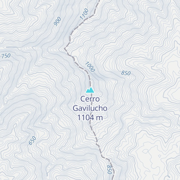 Map of Cerro Gavilucho