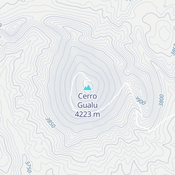 Map of Cerro Gualu