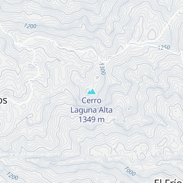Map of Cerro Laguna Alta