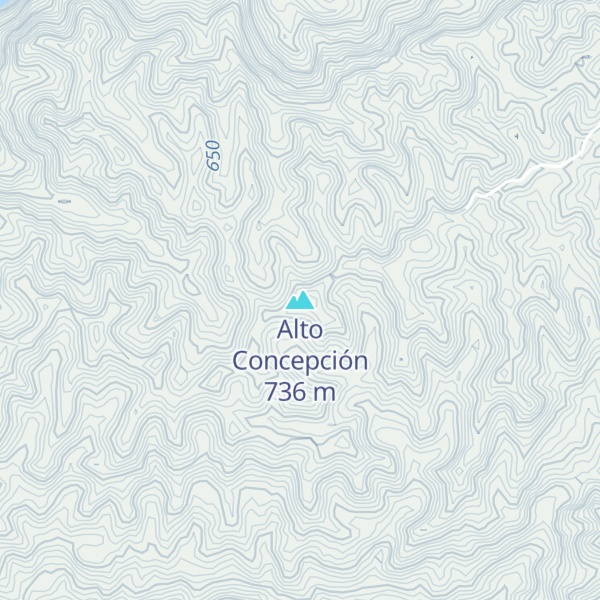 Map of Alto Concepción