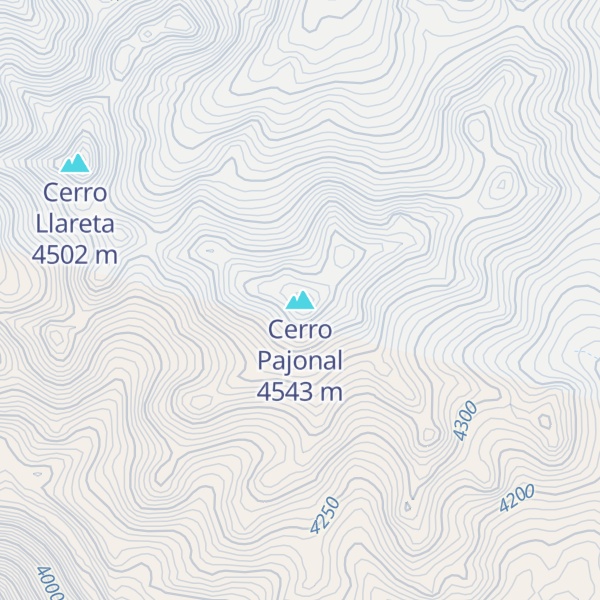 Map of Cerro Pajonal