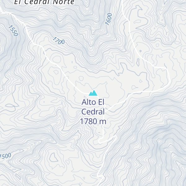 Map of Alto El Cedral