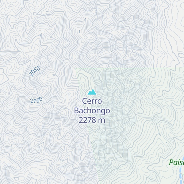 Map of Cerro Bachongo