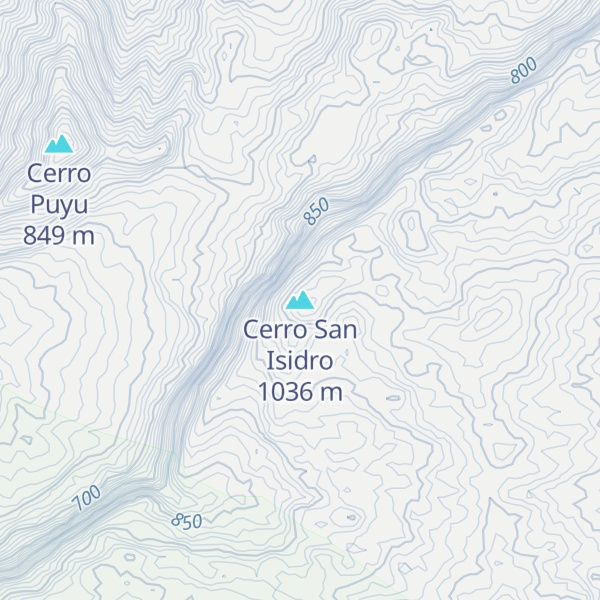 Map of Cerro San Isidro