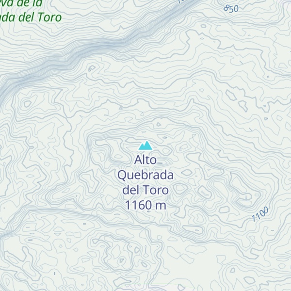 Map of Alto Quebrada del Toro