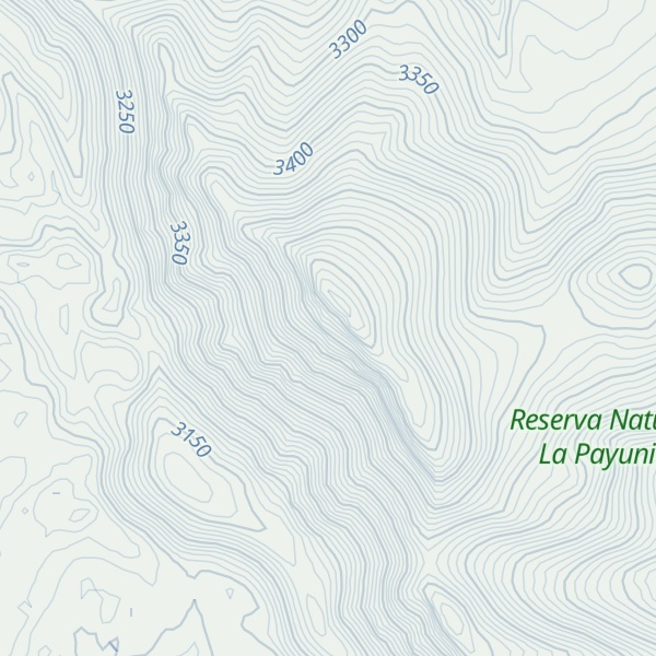 Map of Cerro Morado Alto