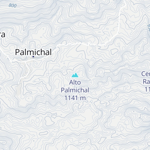 Map of Alto Palmichal
