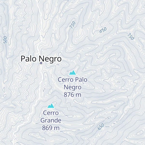 Map of Cerro Palo Negro