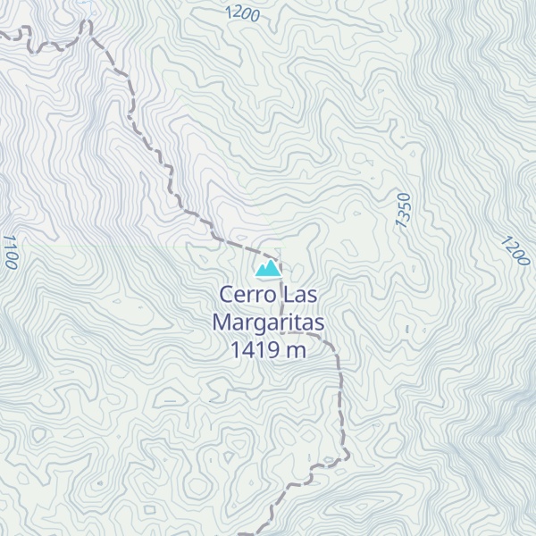 Map of Cerro Las Margaritas