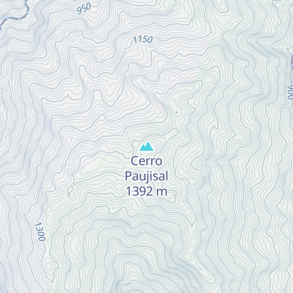 Map of Cerro Paujisal
