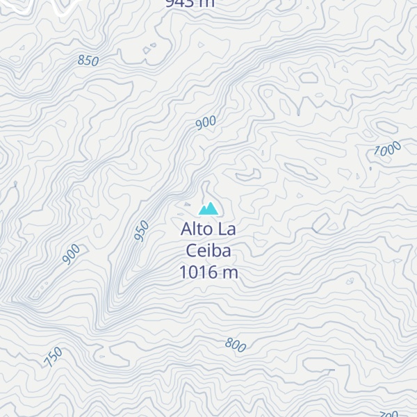 Map of Alto La Ceiba