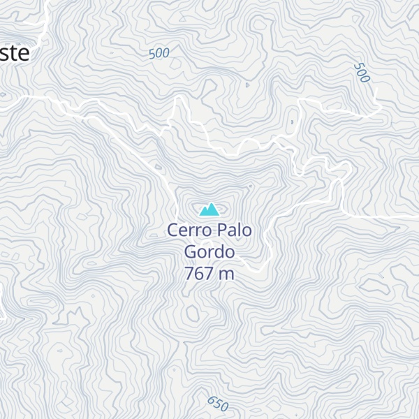Map of Cerro Palo Gordo