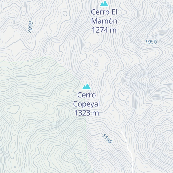 Map of Cerro Copeyal