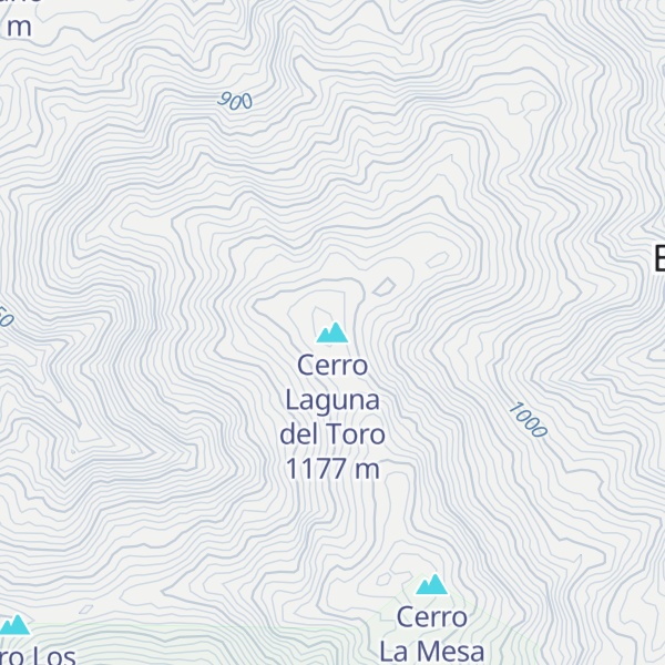 Map of Cerro Laguna del Toro
