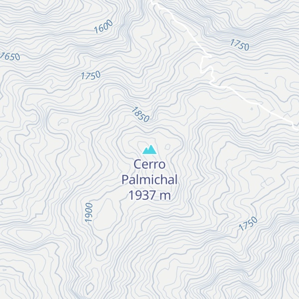 Map of Cerro Palmichal